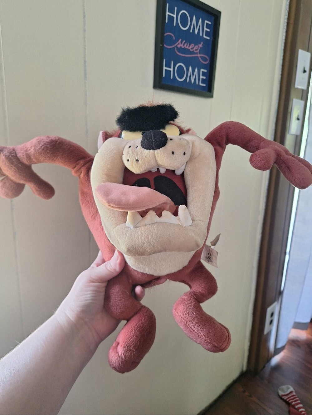Talking Taz Toy